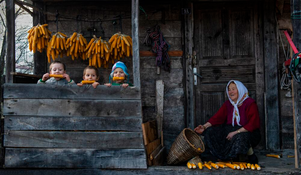 Uluslararası ‘Güler Ertan’ Fotoğraf Yarışması sonuçları açıklandı