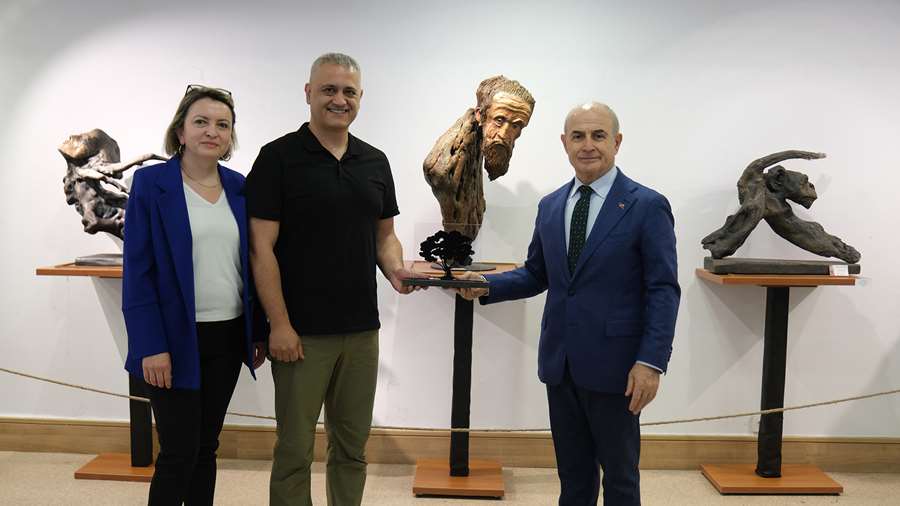Ağaç köklerinin yeniden hayat bulduğu sergi sanatseverlerle buluştu
