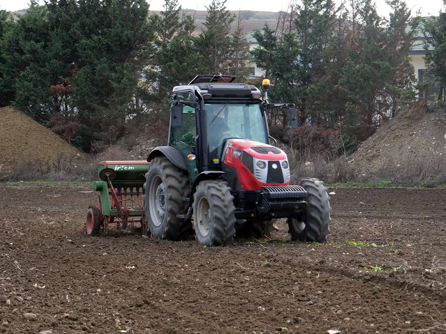 Büyükçekmece’de atıl araziler buğdayla buluştu