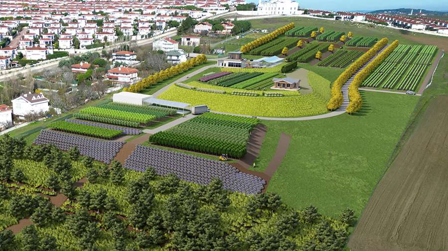 Ginko Tıbbi Aromatik Bitkiler Üretim Merkezi